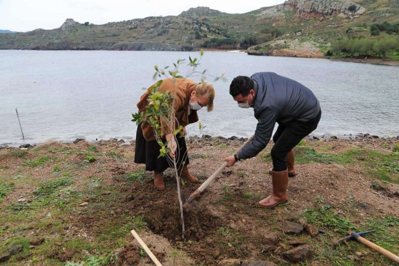BEACH AFFORESTATION INITIATED