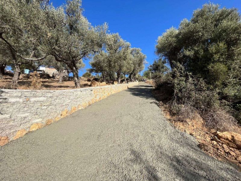 YENIKÖY NEIGHBORHOOD, VILLAGE AREA: CADASTRAL ROAD WORK COMPLETED
