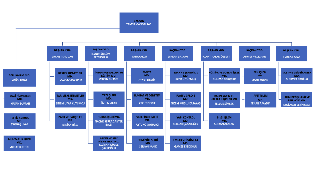 Organizasyon Şeması