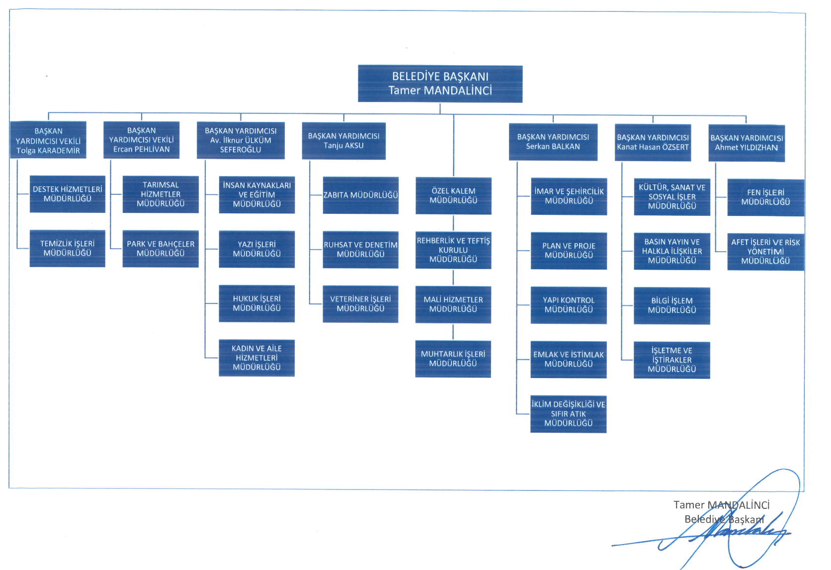 Organizasyon Şeması
