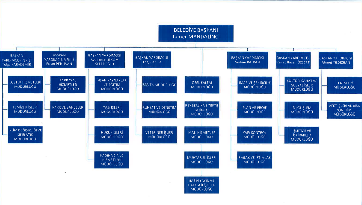 Organizasyon Şeması