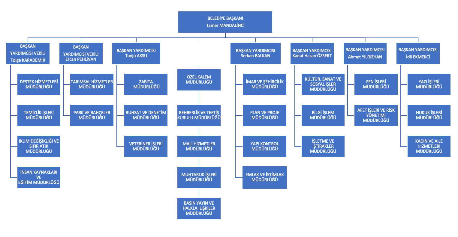Organizasyon Şeması